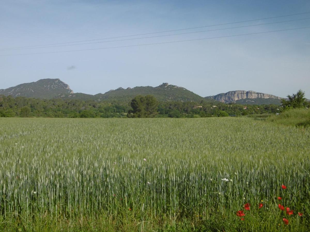 Le Castellas Du Pic St Loup Saint-Mathieu-de-Treviers Экстерьер фото
