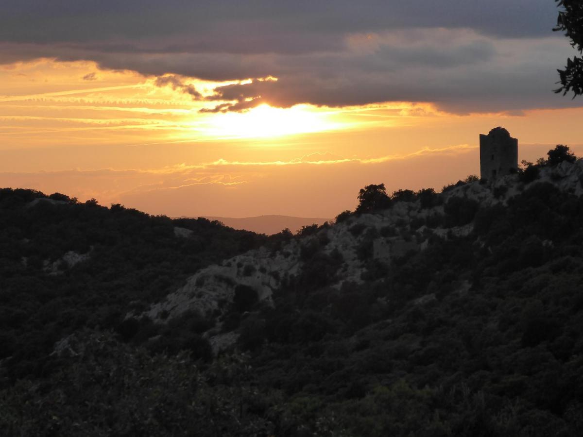 Le Castellas Du Pic St Loup Saint-Mathieu-de-Treviers Экстерьер фото