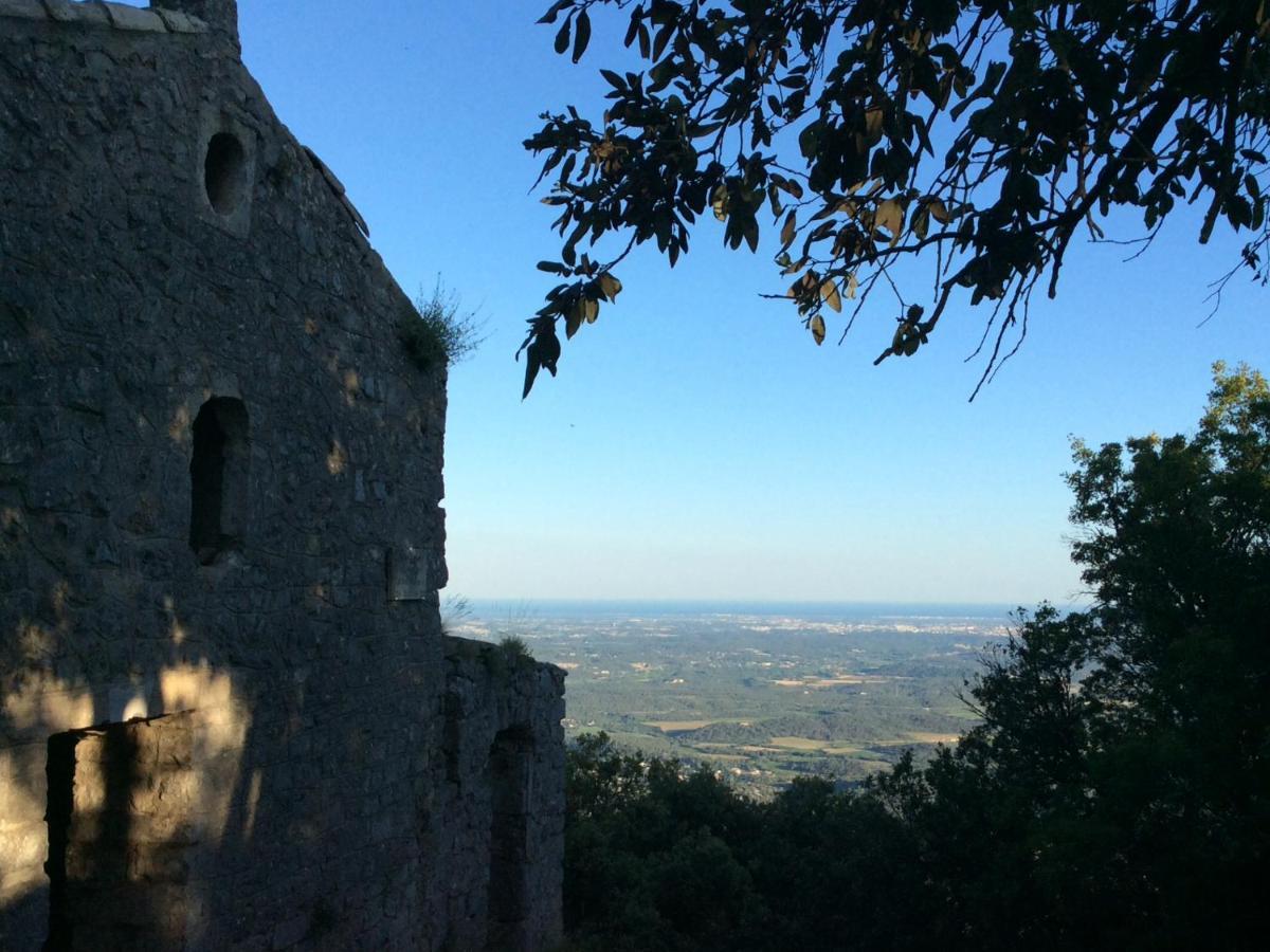 Le Castellas Du Pic St Loup Saint-Mathieu-de-Treviers Экстерьер фото