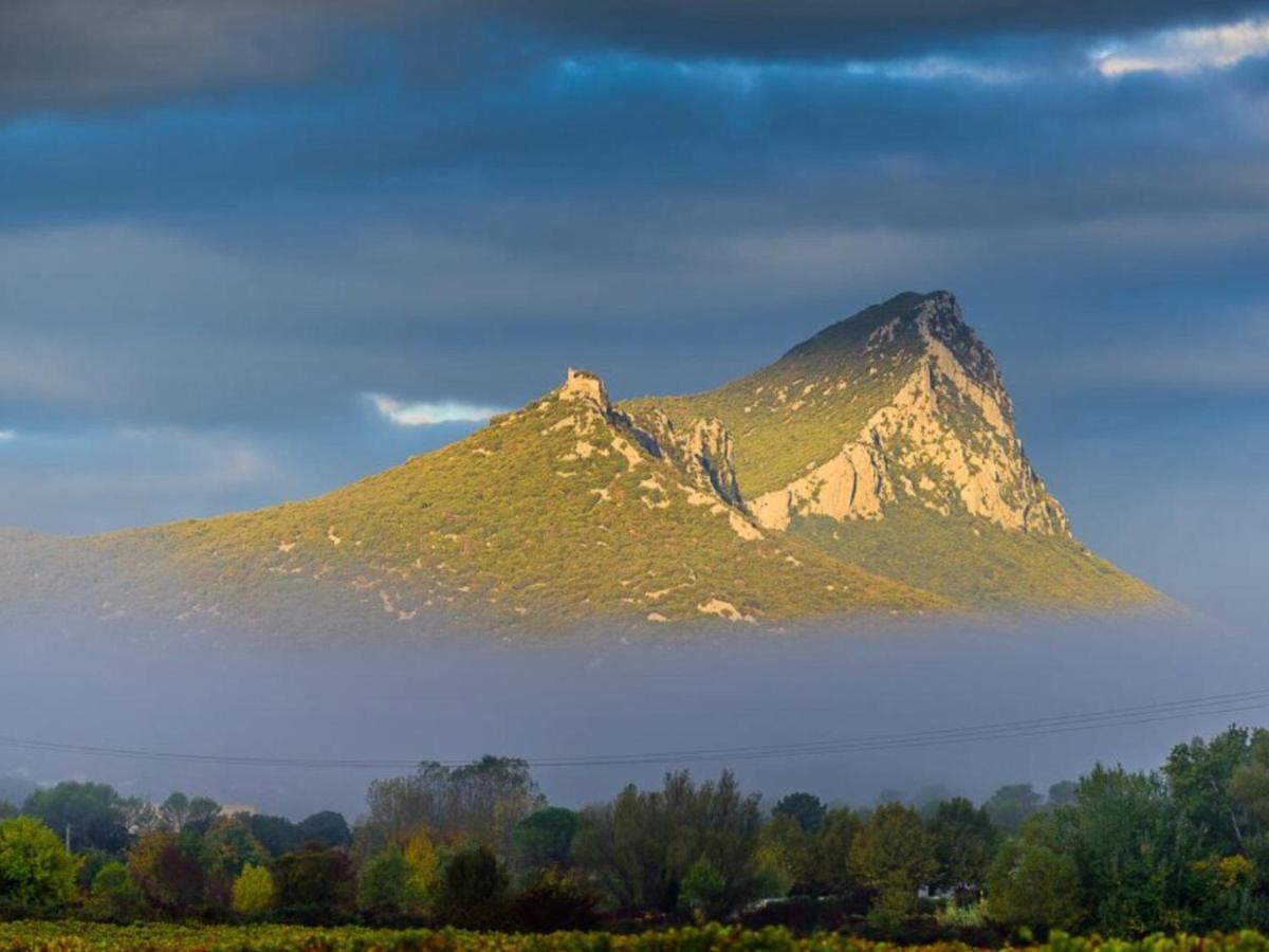 Le Castellas Du Pic St Loup Saint-Mathieu-de-Treviers Экстерьер фото