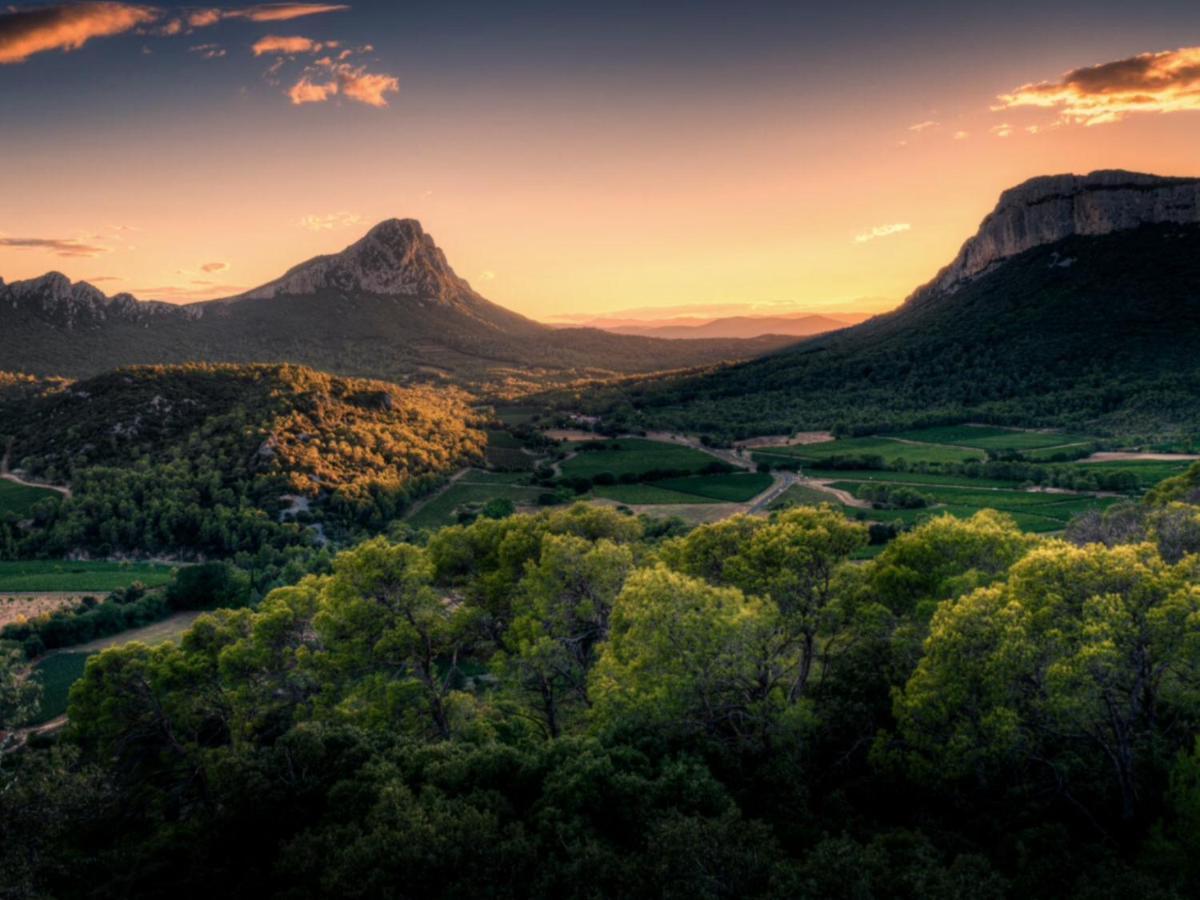 Le Castellas Du Pic St Loup Saint-Mathieu-de-Treviers Экстерьер фото