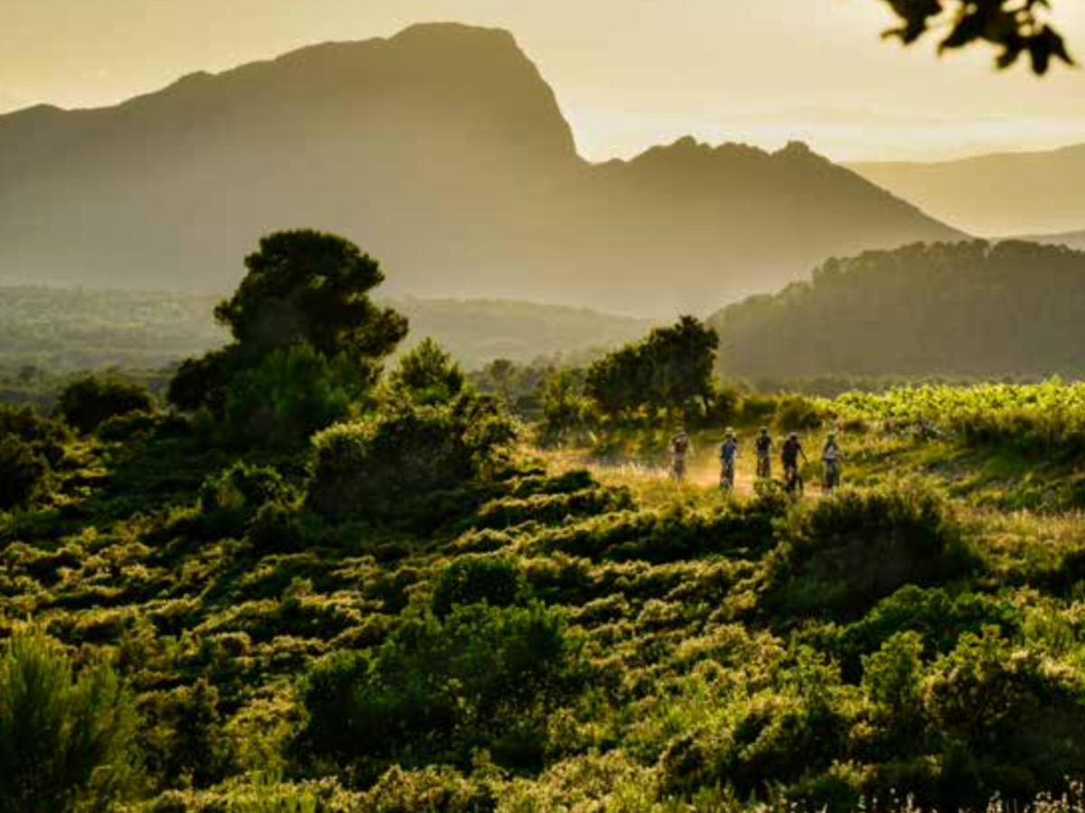 Le Castellas Du Pic St Loup Saint-Mathieu-de-Treviers Экстерьер фото
