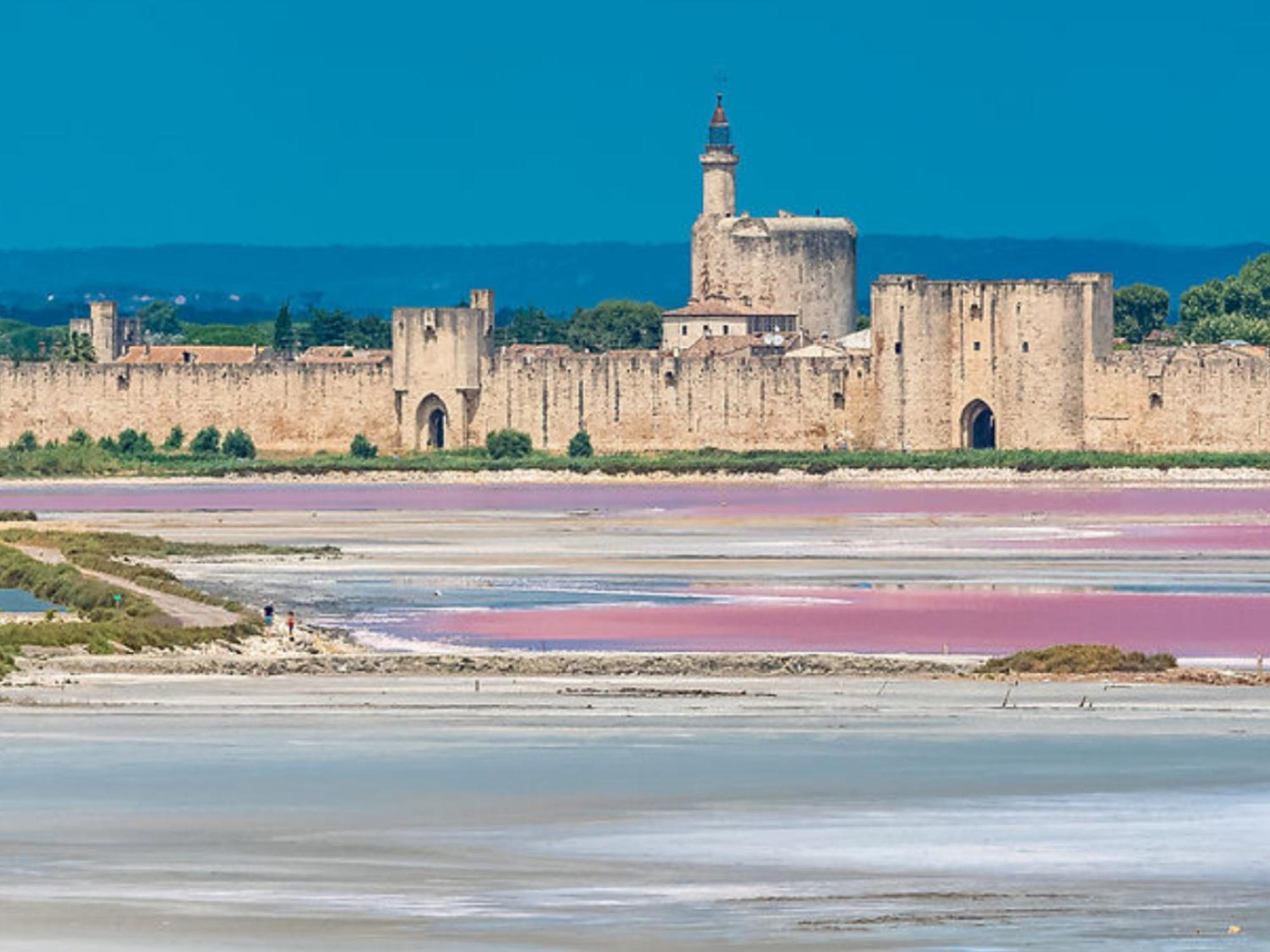 Le Castellas Du Pic St Loup Saint-Mathieu-de-Treviers Экстерьер фото